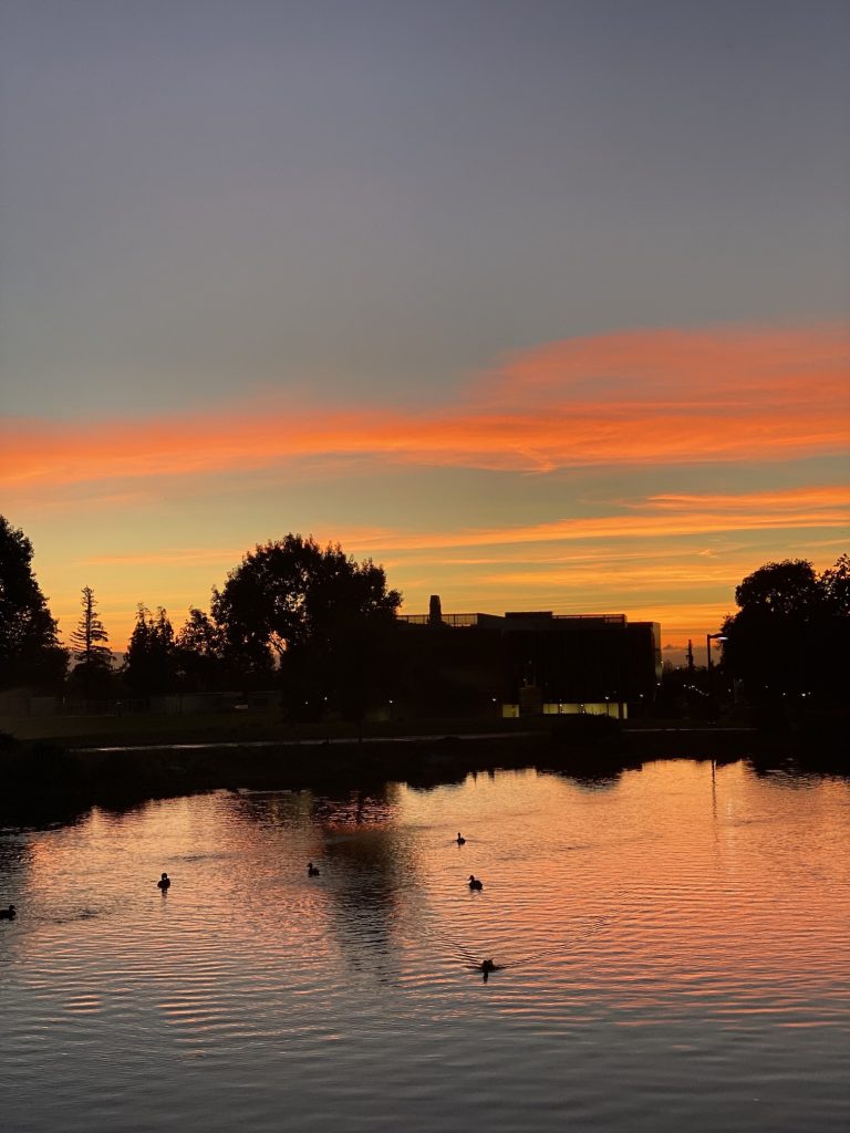 Image description: A lake at sunset. There are pink clouds in the sky, trees, and ducks in the water.