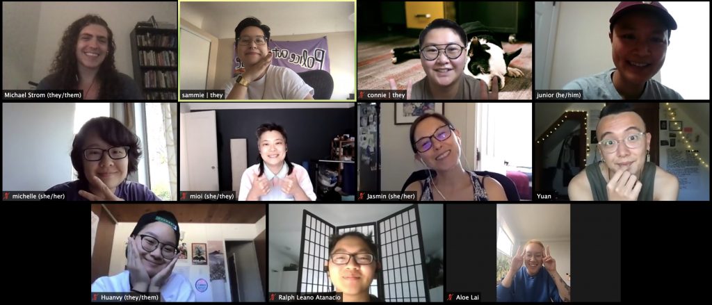 Image description: Zoom selfie from Strat Chat #3 with 10 members of APIENC Core and Staff and Michael, our Wildfire Project facilitator smiling and posing for the selfie.
