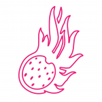 Image description: Line drawing of pink dragon fruit
