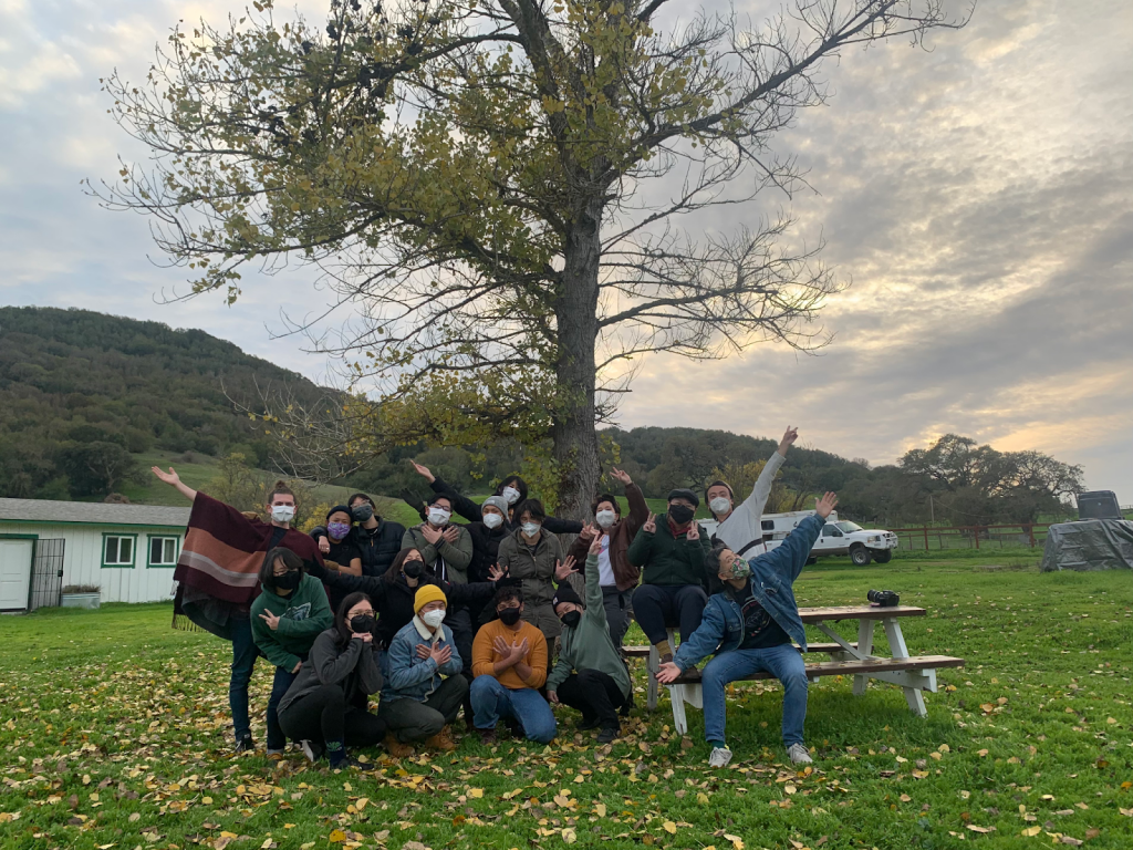 Image description: a group of 12 QTAPI Core members sit outdoors with masks on and arms in the air. In the back is a tall tree, and a cloudy sky during sunset.