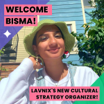 Welcome LavNix’s New Cultural Strategy Organizer!