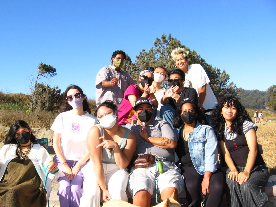 Image Description: 11 trans and queer APIs pose together outside in nature